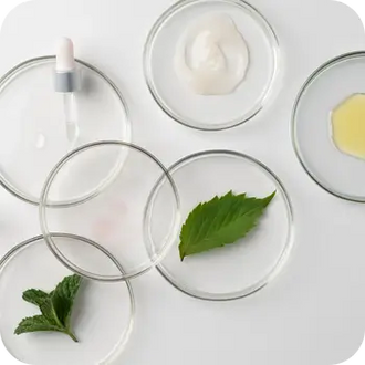 Clean Ingredients